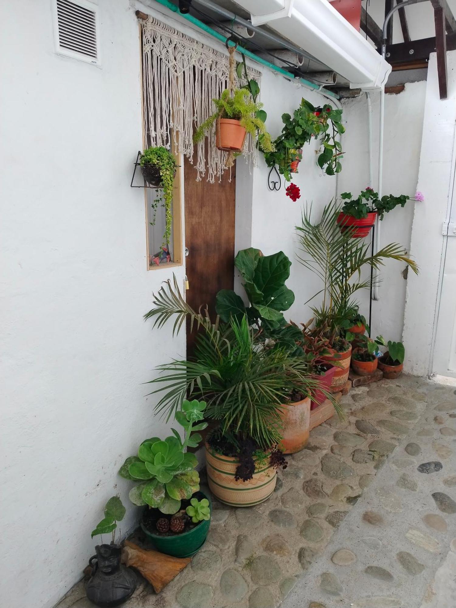 Apartaestudios La Baranda Salento Buitenkant foto